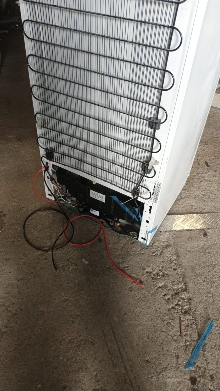 WhatsApp Image 2022-11-30 at 09.44.11.jpeg