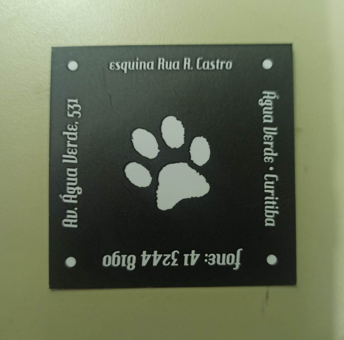 Giro do Gato - 01.jpeg